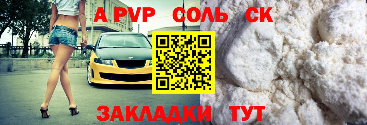 A PVP СК Архангельск