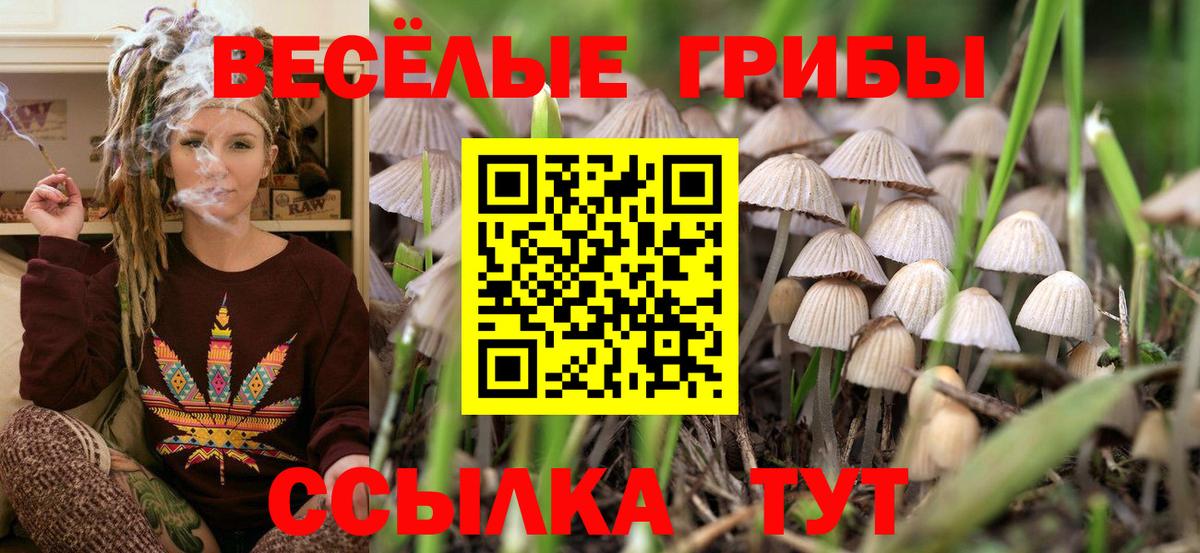 Псилоцибиновые грибы мухоморы  Псилоцибиновые грибы Psilocybe  Вход с VPN  где купить   Архангельск 